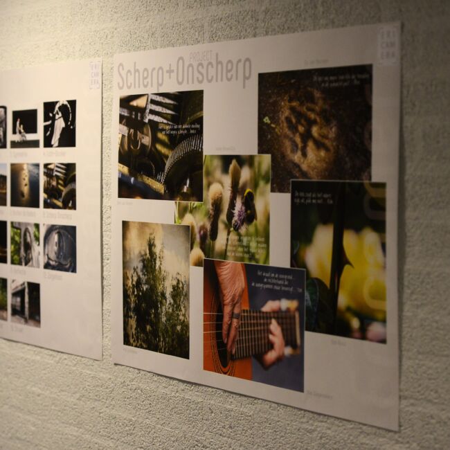 Fotografie