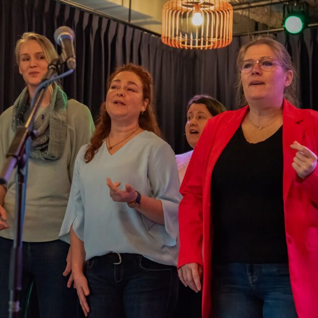 Vocaal Ensemble zang muziek