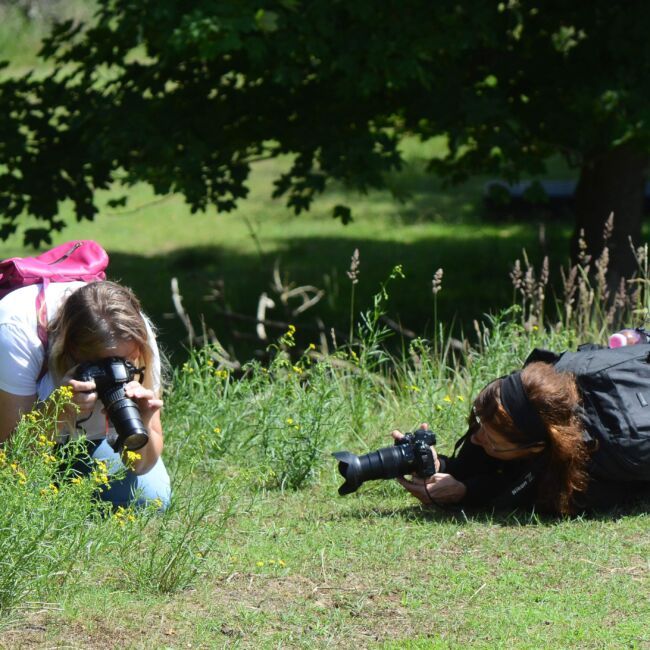 Fotografie natuur