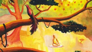 workshop aquarel cke